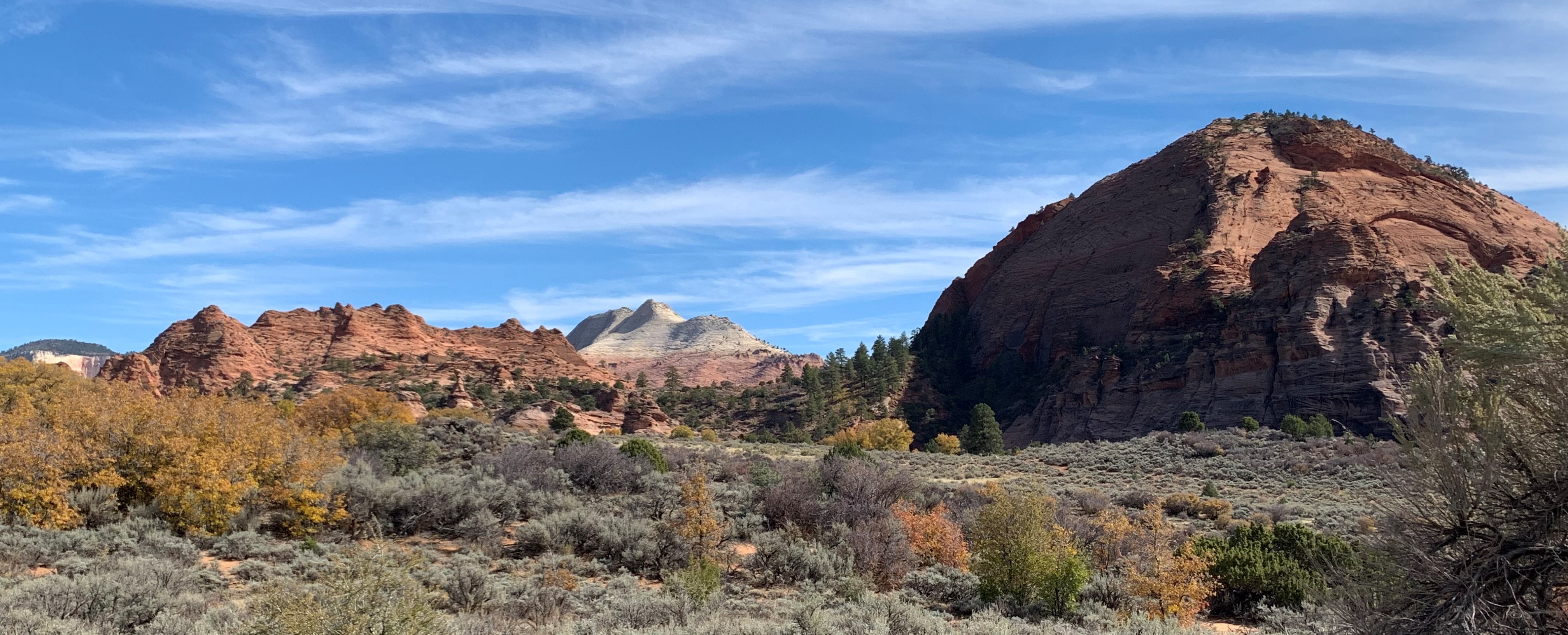 Zion NP